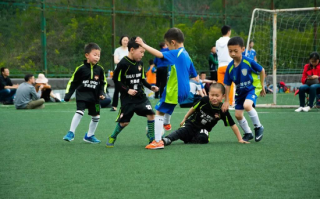 足球开始前都会进场吗，足球开始前都会进场吗为什么